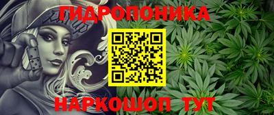 ECSTASY Конаково