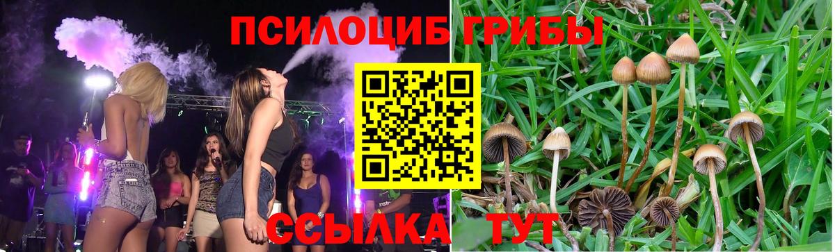 Галлюциногенные грибы GOLDEN TEACHER Альметьевск